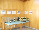 červen 2007 - Šachový turnaj