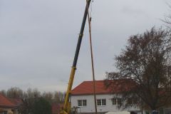 Martinské hody 9.11.2007