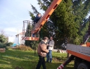 prosinec 2007 - Zdobení vánočního stromu