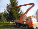 prosinec 2007 - Zdobení vánočního stromu