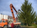 prosinec 2007 - Zdobení vánočního stromu
