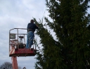 prosinec 2007 - Zdobení vánočního stromu