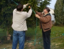 prosinec 2007 - Zdobení vánočního stromu