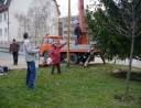 prosinec 2007 - Zdobení vánočního stromu