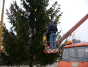 prosinec 2007 - Zdobení vánočního stromu