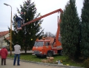 prosinec 2007 - Zdobení vánočního stromu
