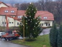 prosinec 2007 - Zdobení vánočního stromu