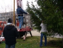 prosinec 2007 - Zdobení vánočního stromu