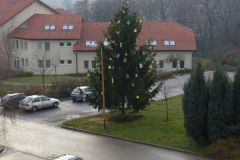 Rozsvícení vánočního stromu 2.12.2007