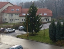 prosinec 2007 - Rozsvícení vánočního stromu