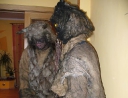 prosinec 2007 - Mikuláš