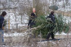 Prodej vánočních stromků 16.12.2007