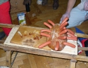 únor 2008 - Tradiční ostatky