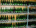 březen 2008 - Tasovický košt