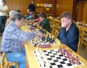 duben 2008 - Haiva cup