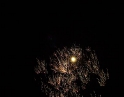 duben 2008 - Pálení čarodějnic