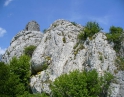 květen 2008 - Jarní výšlap na Pálavu