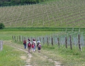 květen 2008 - Jarní výšlap na Pálavu