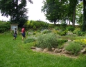 červen 2008 - Cyklistický výšlap