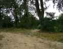 červenec 2008 - Proti proudu Dyje