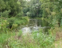červenec 2008 - Proti proudu Dyje