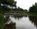 červenec 2008 - Proti proudu Dyje