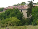 červenec 2008 - Proti proudu Dyje