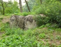 červenec 2008 - Proti proudu Dyje