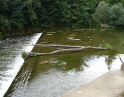 červenec 2008 - Proti proudu Dyje