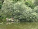 červenec 2008 - Proti proudu Dyje