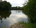 červenec 2008 - Proti proudu Dyje