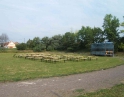 srpen 2008 - Paroháči na školním hřišti