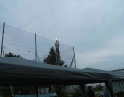 srpen 2008 - Paroháči na školním hřišti