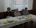 říjen 2008 - Volby do senátu