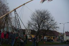 Martinské hody, stavění máje 7.11.2008