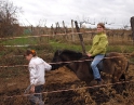 listopad 2008 - Výšlap na Sealsfildův kámen