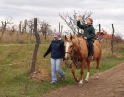 listopad 2008 - Výšlap na Sealsfildův kámen