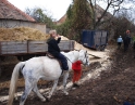 listopad 2008 - Výšlap na Sealsfildův kámen