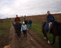 listopad 2008 - Výšlap na Sealsfildův kámen