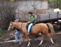 listopad 2008 - Výšlap na Sealsfildův kámen