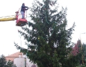 listopad 2008 - Zdobení vánočního stromu