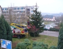 listopad 2008 - Zdobení vánočního stromu