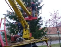 listopad 2008 - Zdobení vánočního stromu