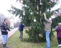 listopad 2008 - Zdobení vánočního stromu