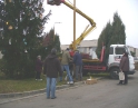 listopad 2008 - Zdobení vánočního stromu