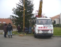 listopad 2008 - Zdobení vánočního stromu