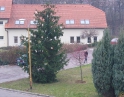 listopad 2008 - Zdobení vánočního stromu