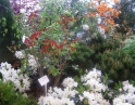 duben 2009 - Zájezd na floru Olomouc
