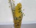 duben 2009 - Zájezd na floru Olomouc