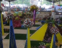 duben 2009 - Zájezd na floru Olomouc